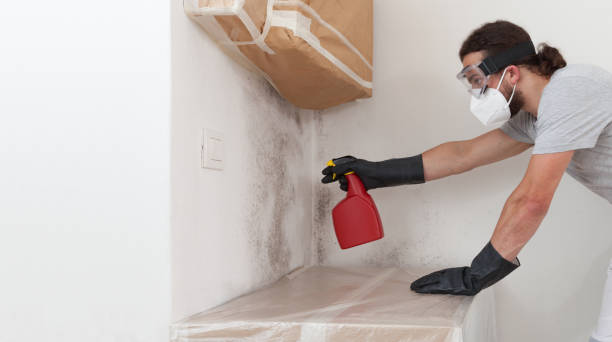 Professional Bathroom Mold Removal technician working in Dayton, KY